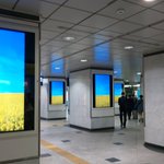 意味深!？菜の花畑だけが映し出される大阪駅サイネージ!
