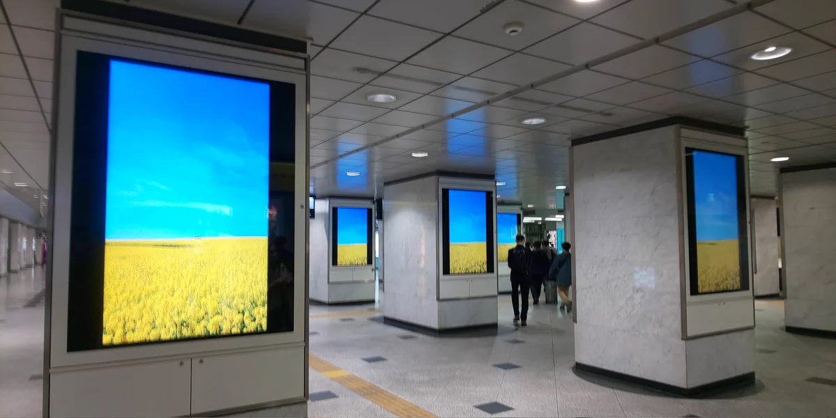 意味深！？菜の花畑だけが映し出される大阪駅サイネージ！