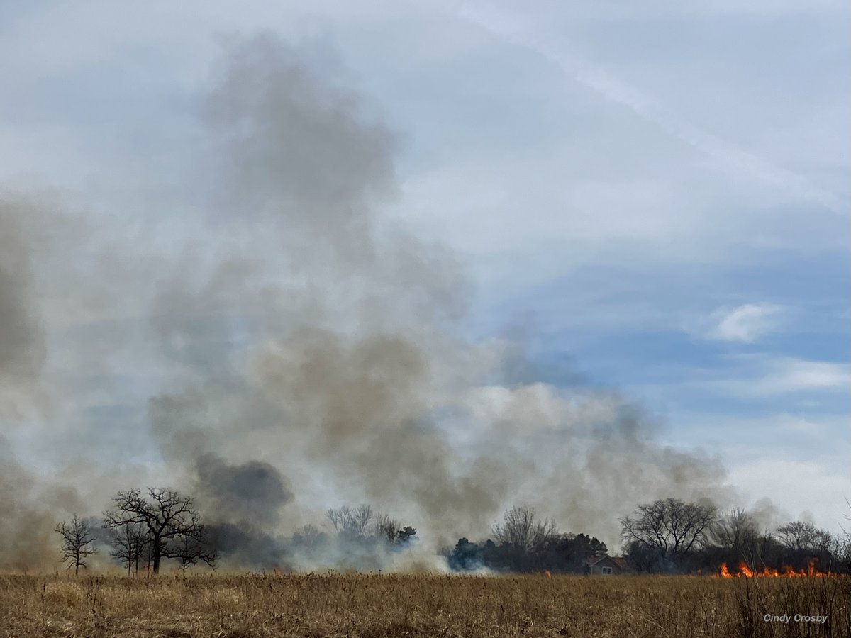Where there's smoke...  Schulenberg Prairie, @MortonArboretum #prescribedfire #tallgrassprairie #naturephotography #nature #chicagoregion #Mondayvibes