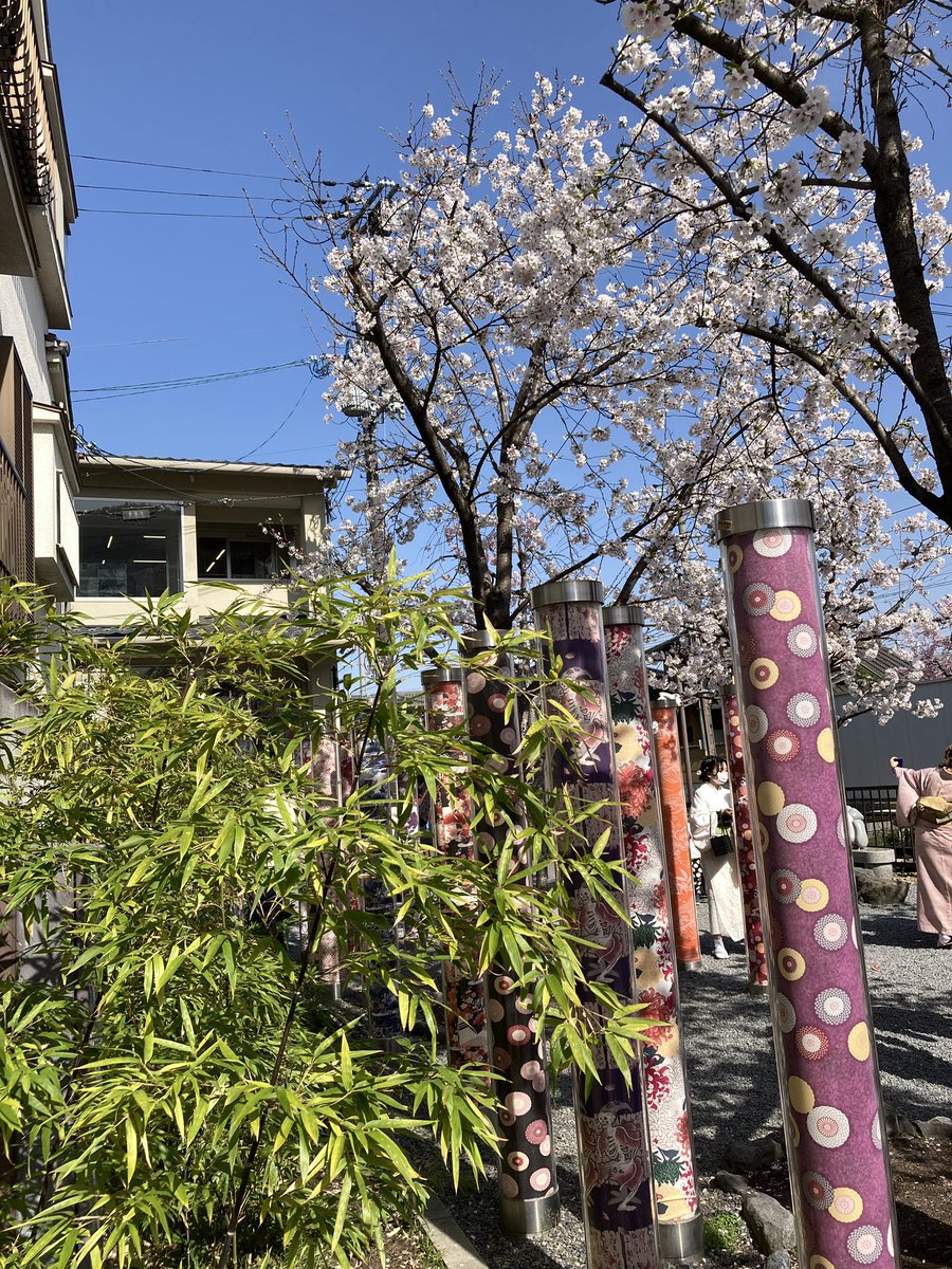 Hello everyone!

My child has the sniffles since yesterday and I couldn’t finish editing this week’s episode 🥲 will finish some time today! 

#femalepodcaster #femalepodcasts #japantravel #kyoto #arashiyama #京都 #嵐山