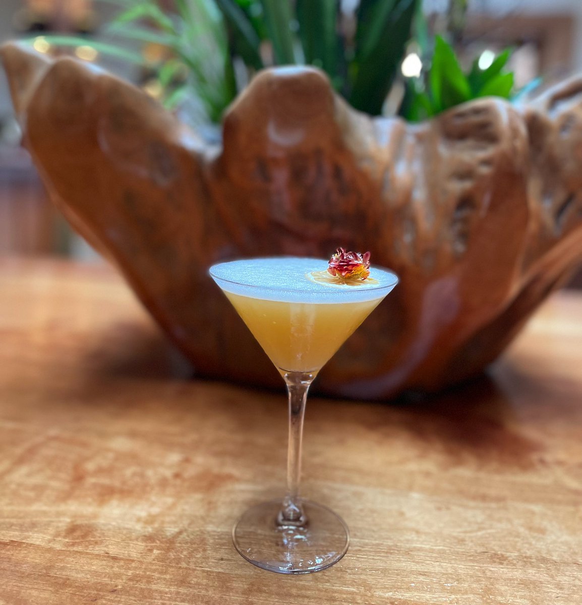 cordevalleCA's tweet photo. Japanese Tea | hibiki whisky, passion fruit and dark tea syrup, fresh squeezed lemon lime juice, egg whites, edible flower https://t.co/0Ym87gOX1a