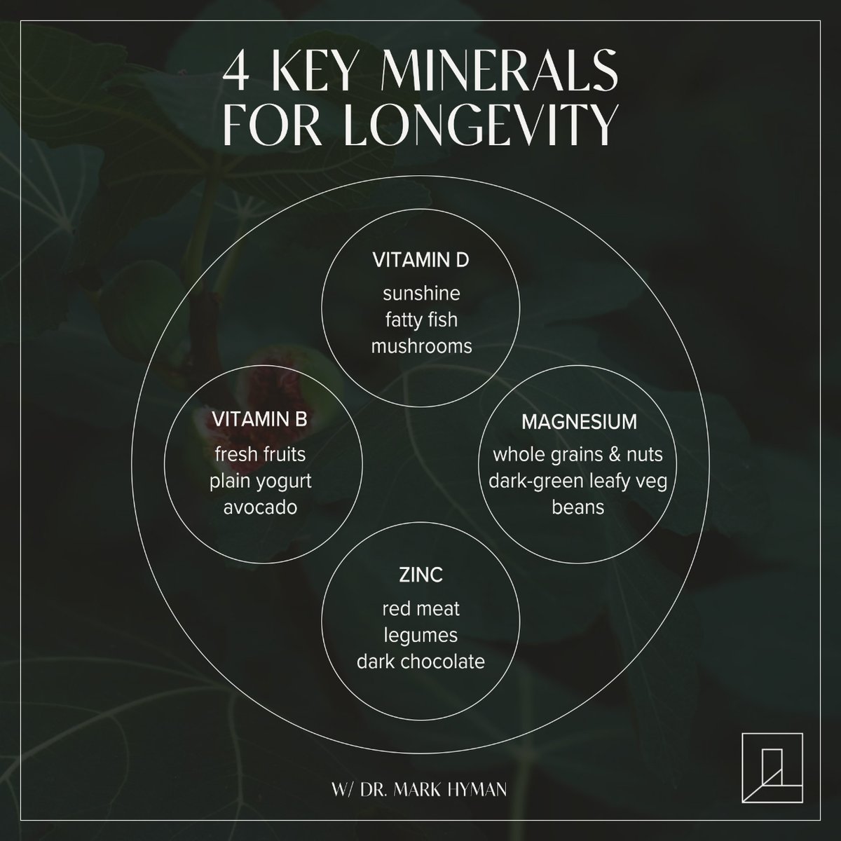 A diet rich in whole foods will provide you with a variety of vitamins and minerals that are essential to energy, health, and longevity. 🍽️ Here are just a few foods that <a href="/drmarkhyman/">Mark Hyman, M.D.</a> suggests you eat to supplement your body naturally.