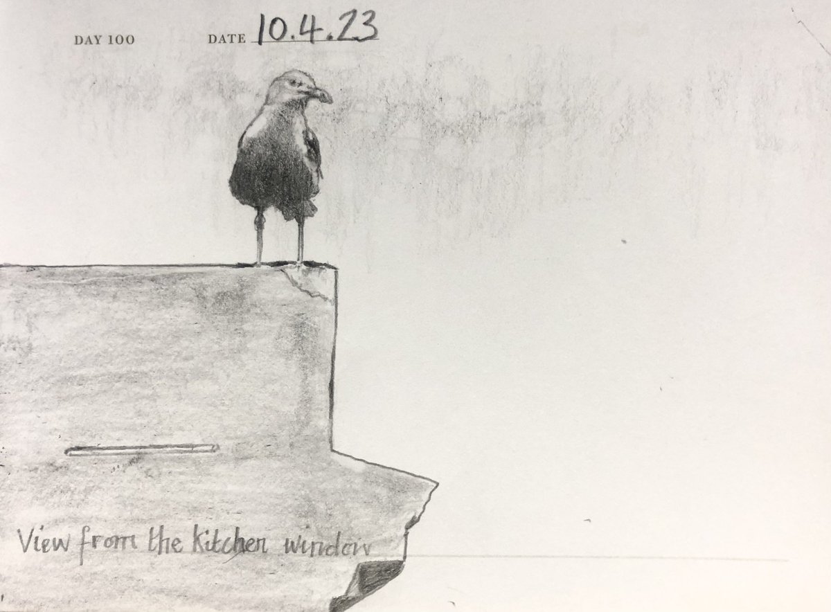 Venster67's tweet photo. One Sketch A Day 10.4.23
‘View from the kitchen window’
#viewfromthekitchenwindow #brighton #herringgull #birds #nature #onesketchaday #sketchbook #art #illustration #pencilsketch https://t.co/cUQguTbcZX