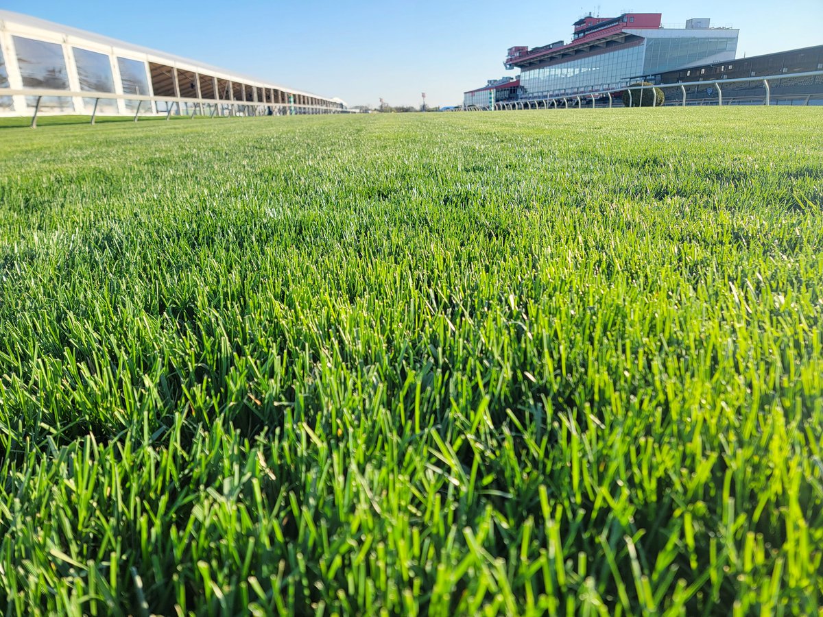 theBranchTurf's tweet photo. The @PreaknessStakes might be on the dirt track, but the turf track @PimlicoRC is ready for the horses also on the big day! Gonna be an awesome view for those lucky enough to be in the #turfsideterrace https://t.co/i2tOIMM4ke