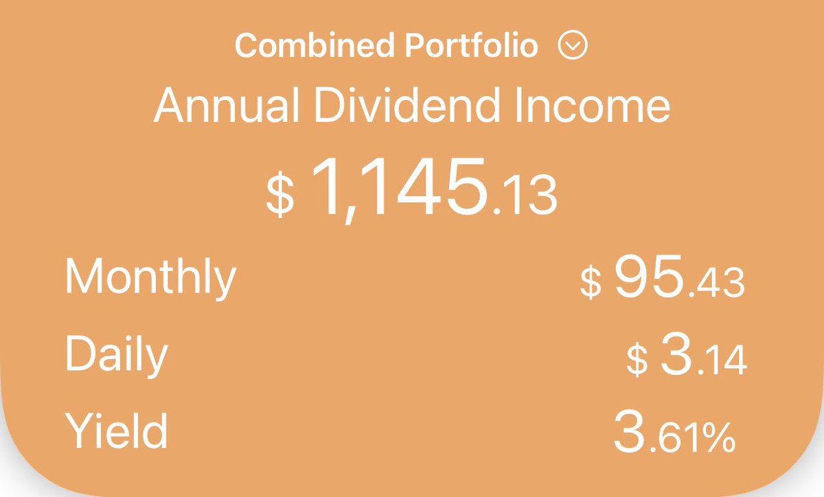 pidhoretskyy's tweet image. As of today I receive 1145.13$ annually from dividends.

My goal for the end of the year 2023 to be at 2400$🙏