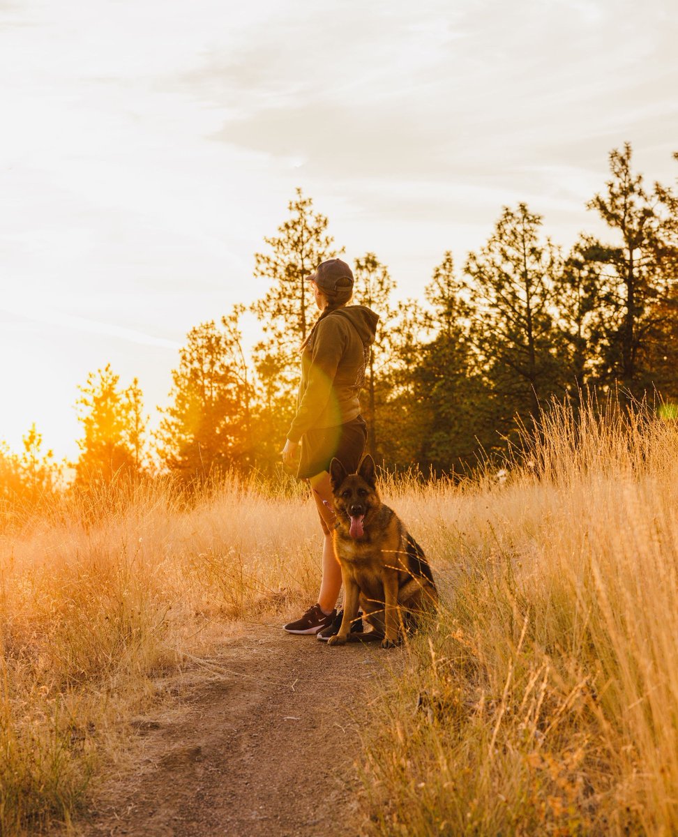 Have you ever thought to yourself, 'Where can I take my dog where he can trot happily through fields of golden grass and become his best self as he reconnects with the natural world?' You know, normal thoughts: tinyurl.com/2bf2vfhn 📸: @nicolasojames #VisitSpokane