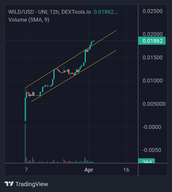 Gem_Sheriff's tweet photo. $Wild Update!🔥 | Here's a great project that has been steadily rising since I've been following it!💯
⭐️Glad to see cowboys dominate on Crypto!🤠
📈Chart:https://t.co/fuAz2XjHeT
#Wild #WildArmy @TheWildWestWILD https://t.co/CQylgvhByI
