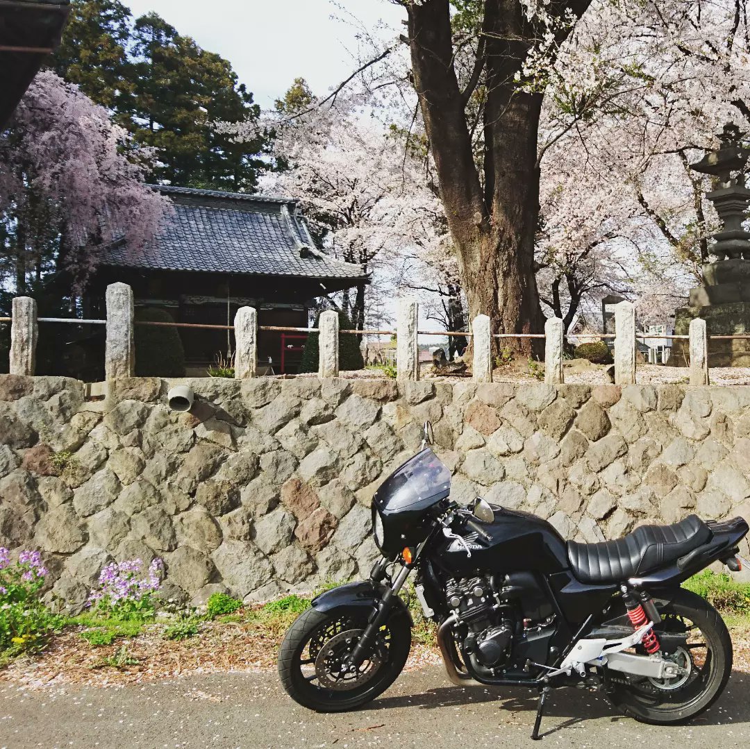 kkcb400sf's tweet photo. 歳も車も変わって
バイクも雰囲気だいぶ変わったので更新

名前:けい
愛車:cb400sf マークX
年齢:2001年生まれ
住み:栃木
身長:178
ひとこと:事故らない運転心がけます

#バイク乗りとして軽く自己紹介
#バイク乗りと繋がりたい
#cb400sf https://t.co/SMGLAA8C1F