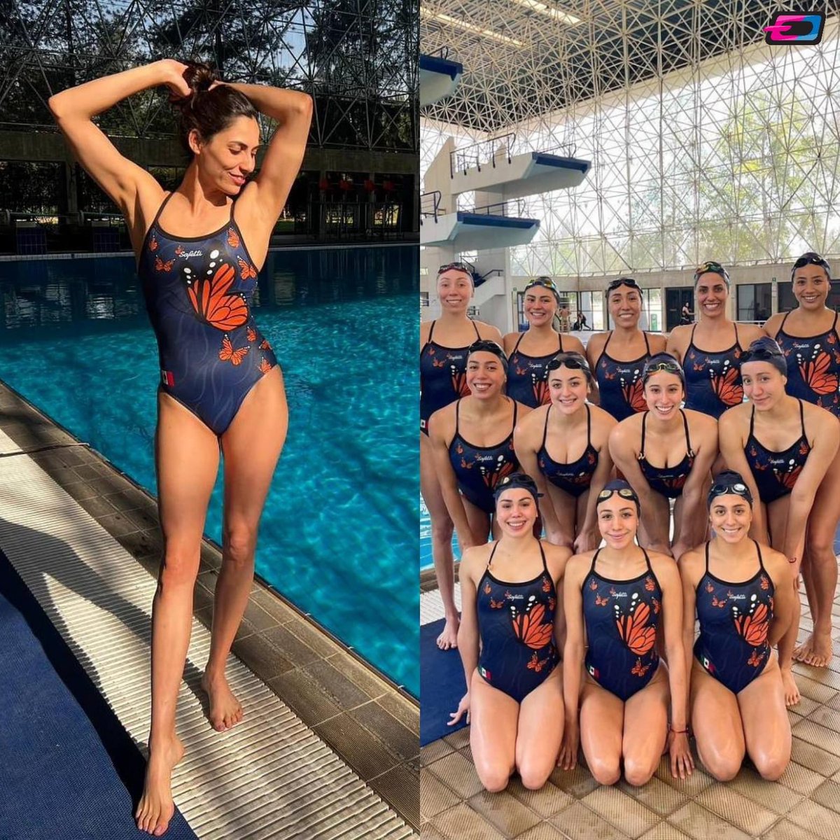 Ellas en el Deporte tweet media