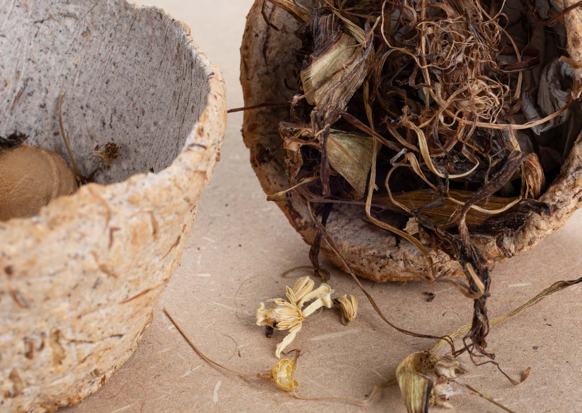 From Biowaste to Biowaste Bin by Hanna Arhe, B.A. Design, <a href="/AaltoChemarts/">Chemarts</a> Summer School 2020. Target of this experimentation project was to invent a material that is visually attractive, biodegradable and optimal for collecting biowaste at home kitchen.