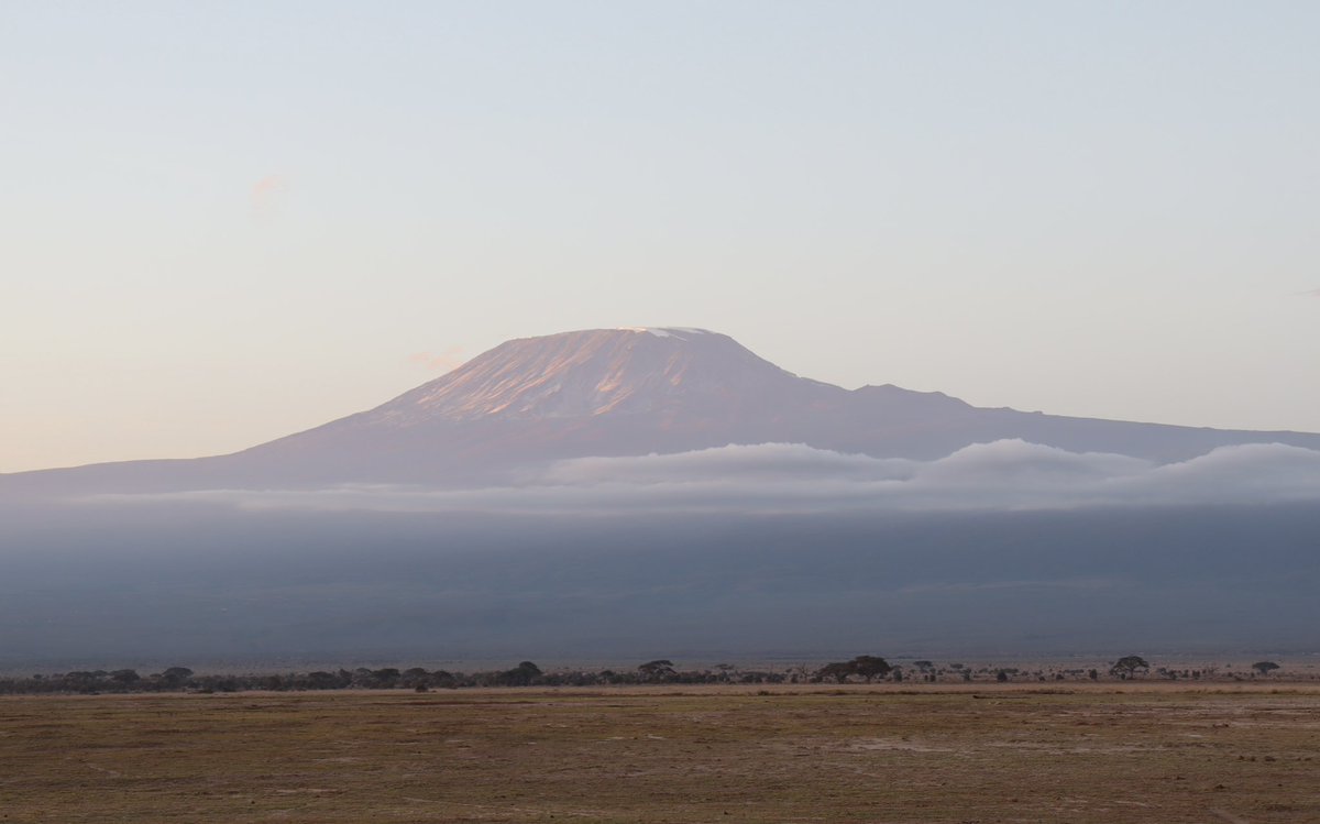 Amboseli park (Kenya) with Mount Kilimanjaro, the highest free-standing mountain in the world - meaning it’s not part of a mountain range and stands right in front of your face. Scientists warned that the snow could disappear within the next 20 years #ClimateAction #conservation