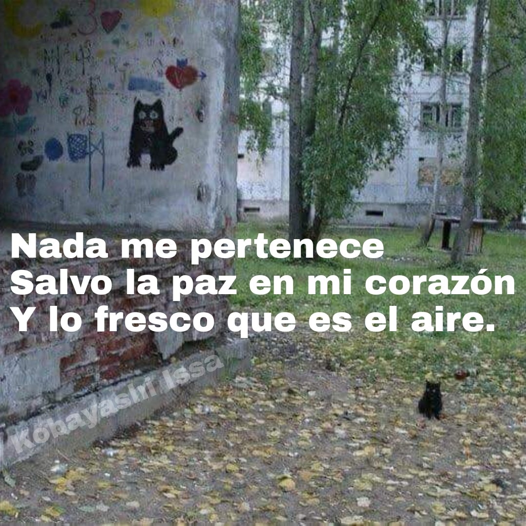 iinuiit's tweet photo. Sin descargar imágenes nuevas, ¿Cómo está tu salud mental? https://t.co/FvDD6KOaNb