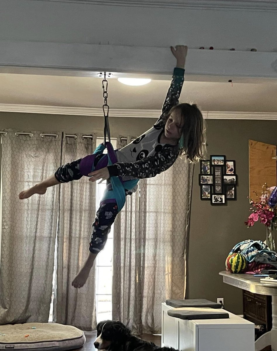 Andrea Daniel tweet media