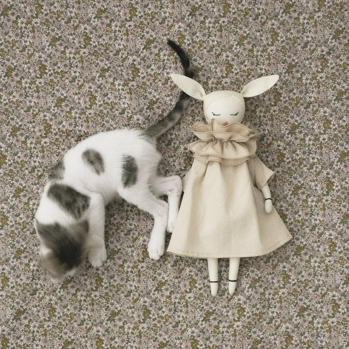 Dumye's tweet photo. Happiness is a fluffy kitten 🐾 #nationalpetday #adoptdontshop https://t.co/XgX5xIUF7u