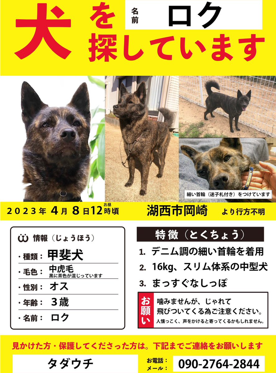 roku_maigo's tweet photo. 2023年4月8日、静岡県湖西市より甲斐犬が行方不明になっています。
最新の目撃情報は愛知県豊橋市、二川駅周辺です。何かご存知の方はご連絡をお願いいたします。
#豊橋 #豊橋市 #二川 #湖西市
#迷子犬 #迷い犬 #甲斐犬 #黒い犬 #雑種 
#犬を探しています https://t.co/RKbnyVnsT7
