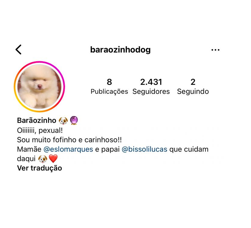 centralreality's tweet photo. 🚨VEJA: Os ex-BBBs Lucas Bissoli e Eslovênia adotaram um cachorrinho e colocaram o nome de “Barãozinho”. https://t.co/UA1NgB5L9o