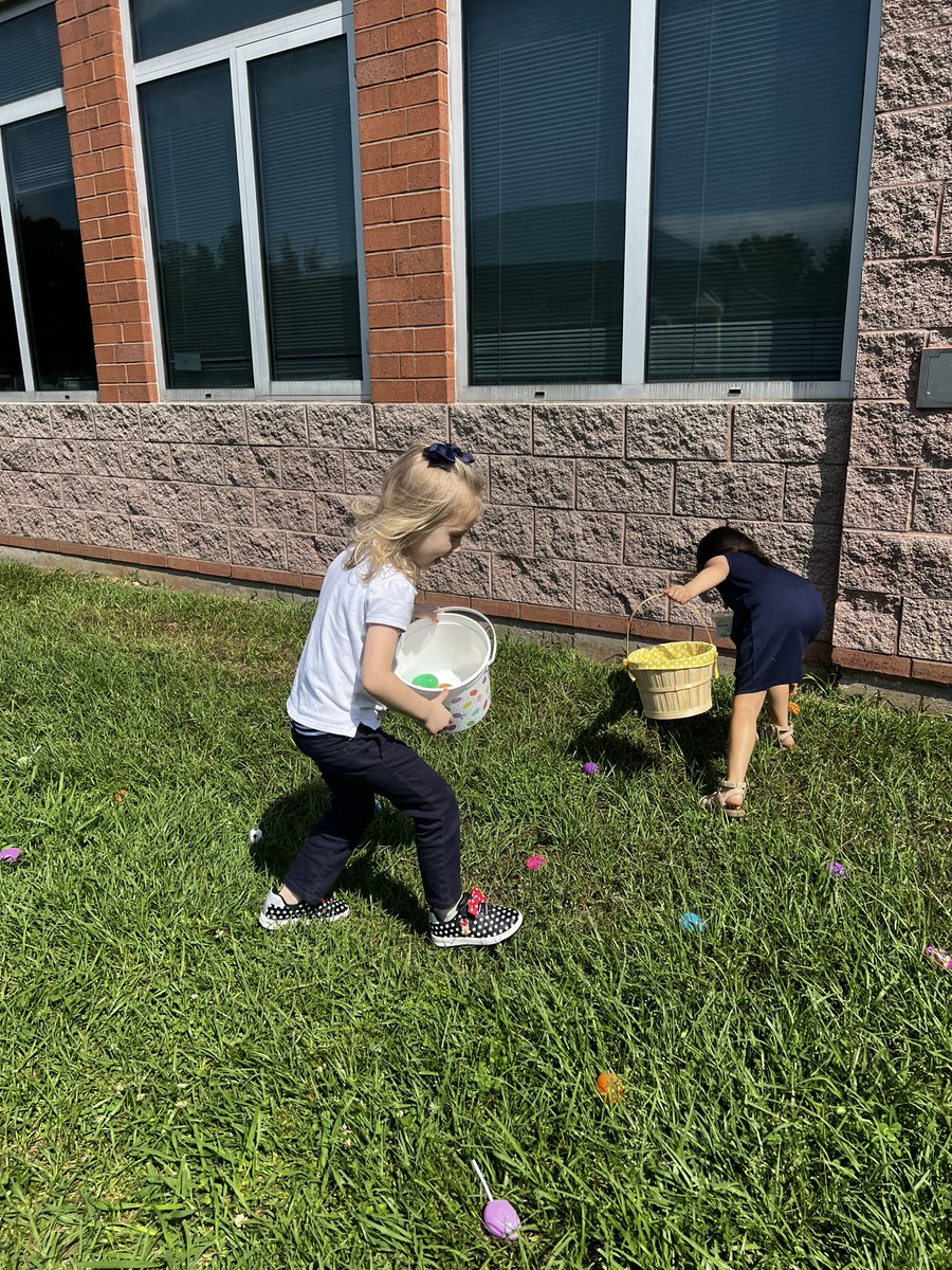 Gracie_laGarcia's tweet image. Durante nuestra búsqueda de huevos, noté que uno de mis alumnos contaba mientras los juntaba. #knowledgeable #inquirer @PattersonESHISD 
🐰🐣