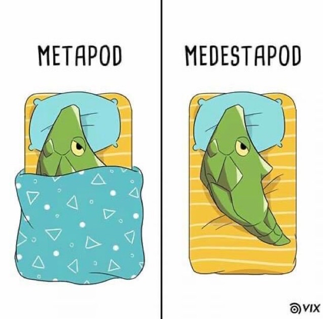 Memakker's tweet photo. https://t.co/0hstzQ8yb5