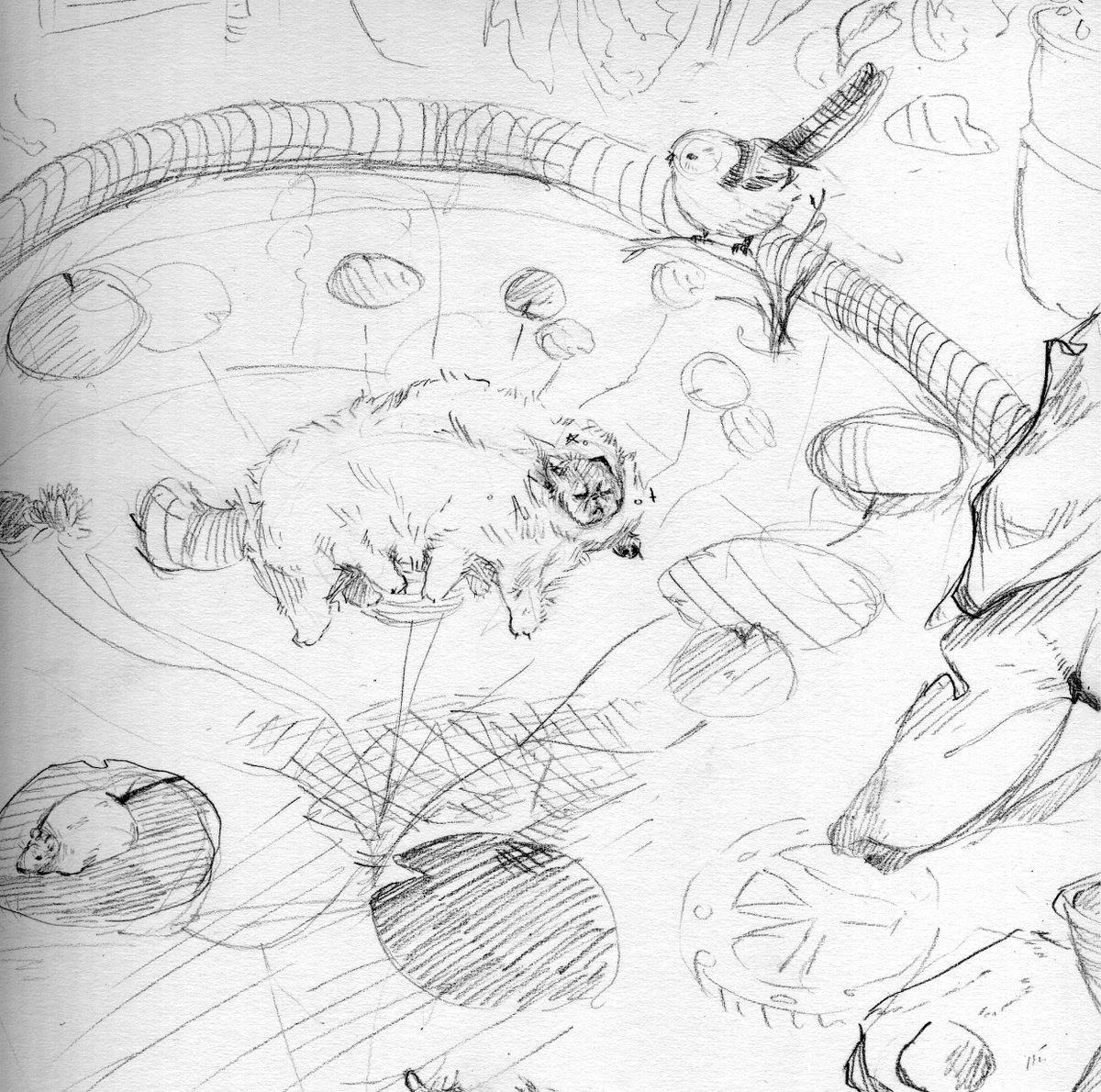 PokySun's tweet image. 🌟A new challenger has appeared: The Aquatic Long Cat ฅ(• ɪ •)ฅ
.
.
#art #sketch #arthomework