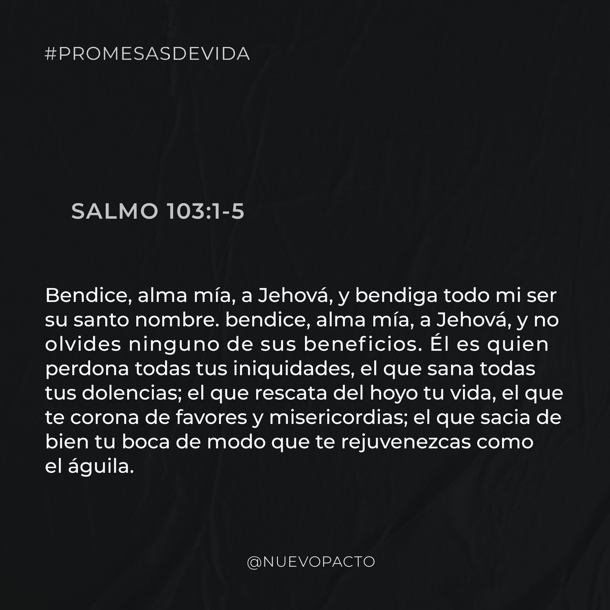 NuevoPactoSS's tweet photo. π£π₯π’π ππ¦ππ¦ ππ π©πππ
Al que estΓ‘ sentado en el trono, al que vive para siempre, sea la gloria, sea la honra y poder.
#Promesasdevida #Majestuoso #Poderoso #NuevoPacto https://t.co/r7oYwPkulD