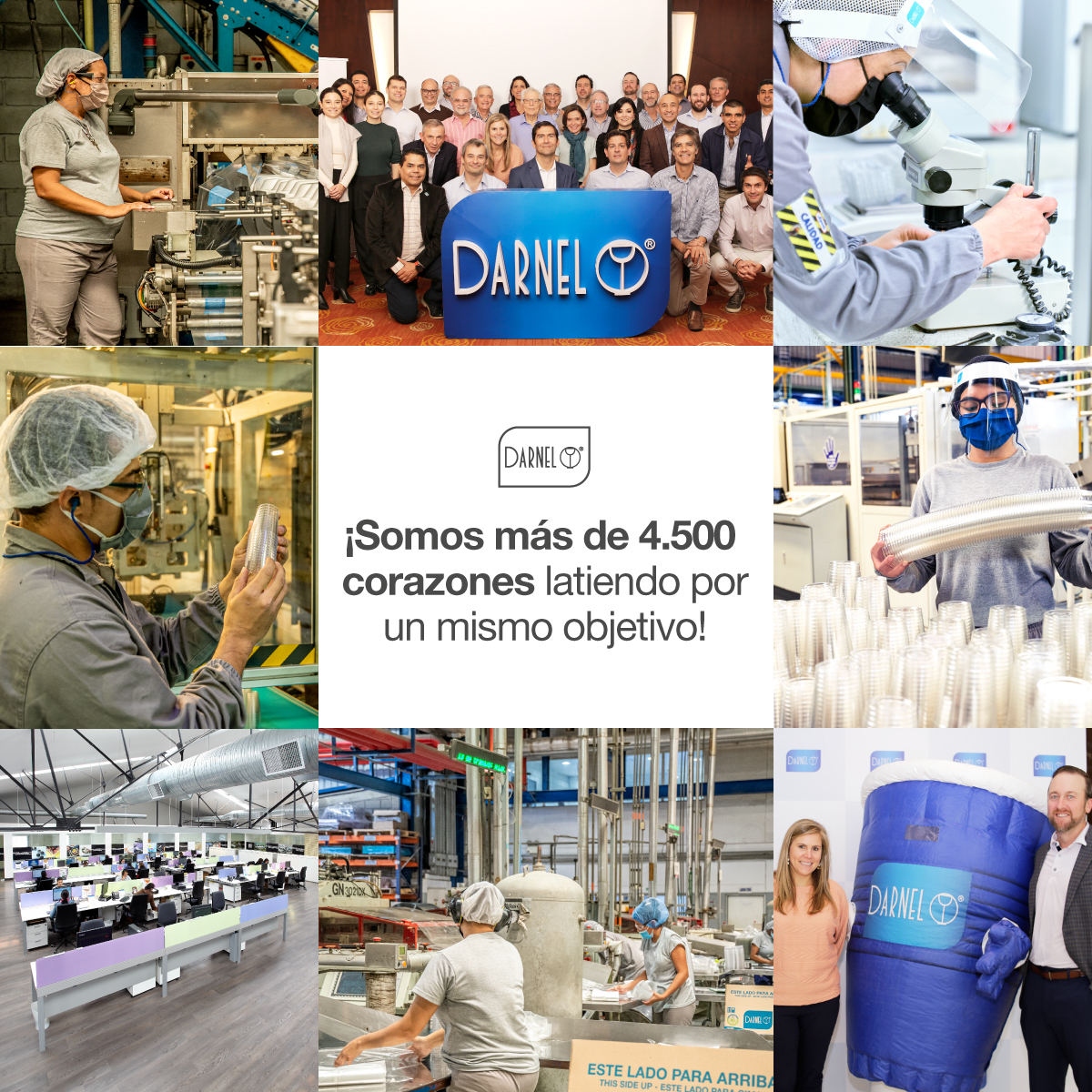 ¡En Darnel contamos con el mejor equipo 💪! Somos miles de personas comprometidas con la mejora continua 👌.

#darnel #empaques #empresa #negocios