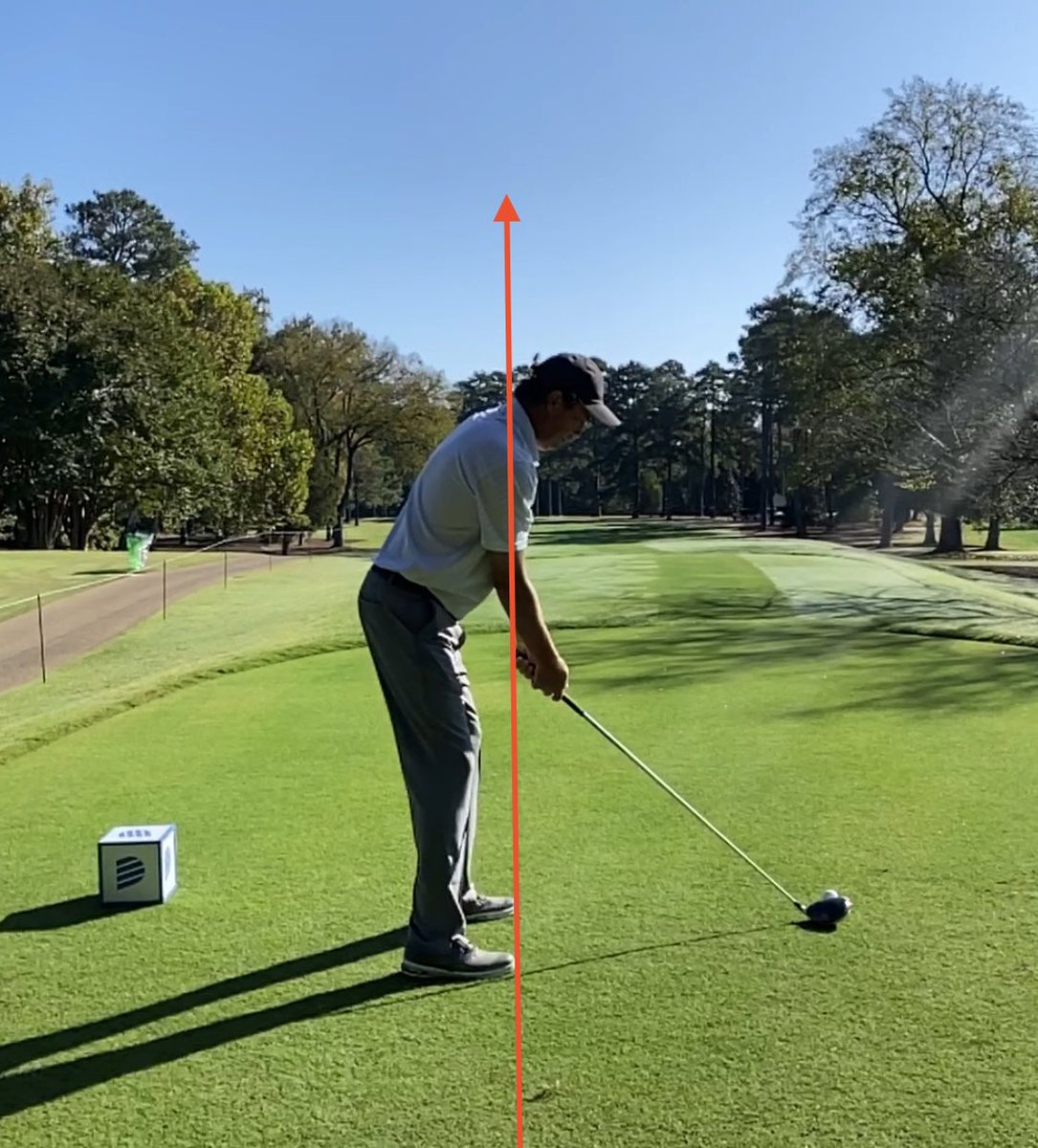 Shauheen Nakhjavani tweet media