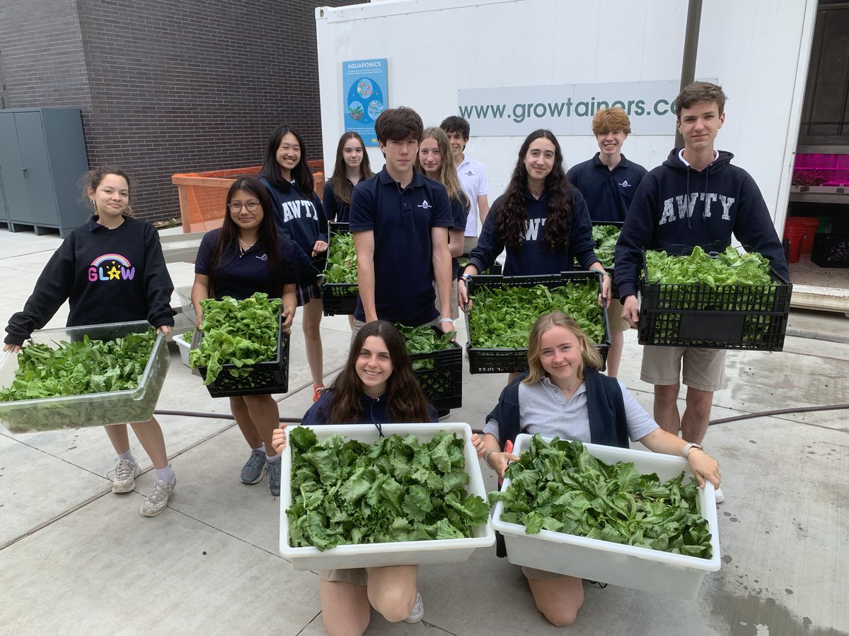 Une autre belle récolte avec quelques 600 laitues incluant de nouvelles variétés intéressantes testées. Quand le cours de science de seconde se traduit par une production massive à empreinte carbone limitée. #aquaponie #hydroponie <a href="/awtyintlschool/">Awty Intl. School</a>