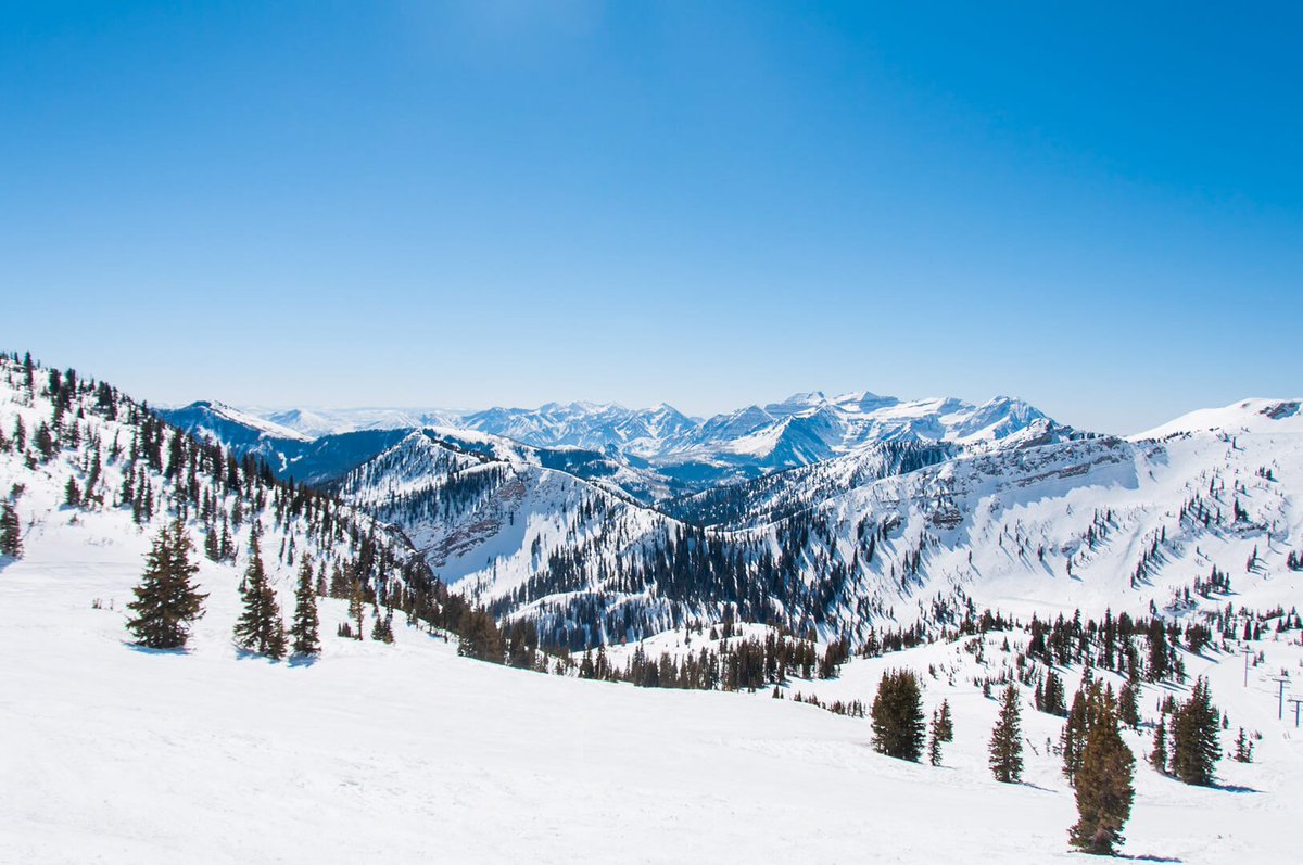 local_freshies's tweet photo. There's plenty of April left... so get out there and keep spring skiing! #springskiing #skiinapril #cornsnow
👇 The Best April Skiing & Snowboarding Resorts Out There! https://t.co/eyDRwjCKg8 https://t.co/LirZ0bBmAK