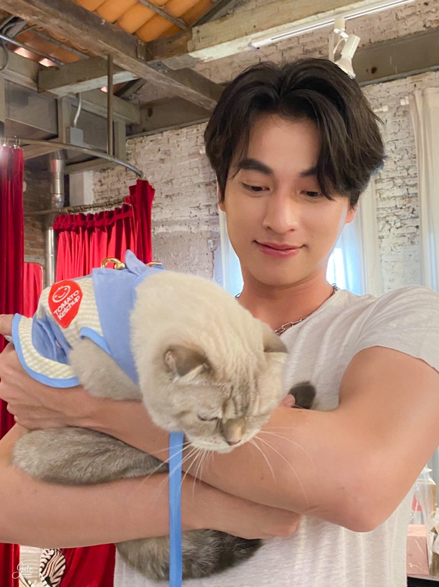 MGaun17's tweet photo. Gulf​ Moning​อรุณ​สวัสดิ์​ครับ​วันนี้​ขอให้​เป็น​วันดี​ๆ​ตลอดวัน​นะครับ
@gulfkanawut
#GulfKanawut https://t.co/VfILdFjhBg