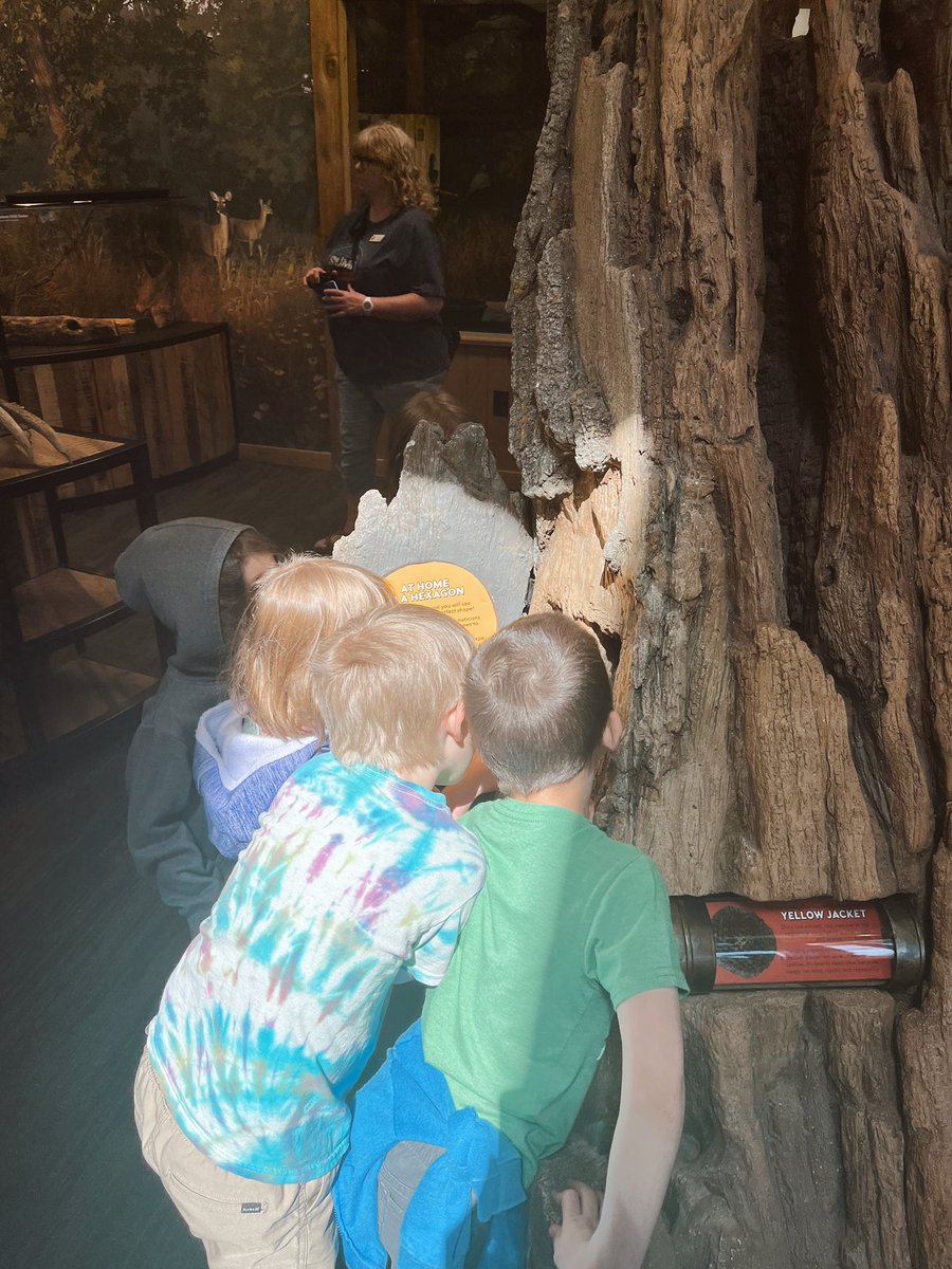 mskatieschuster's tweet photo. It was a beautiful day in Rochester exploring the Quarry Hill Nature Center! 🐝🐢🐍 #kindergarten #mckinleystrong #owatonnaproud https://t.co/16w6Neph9V