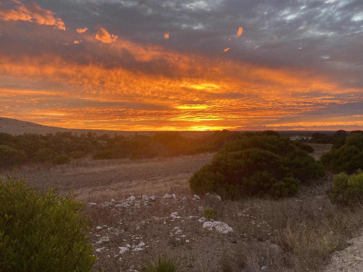 T-Fuel G-O-A-T tweet media