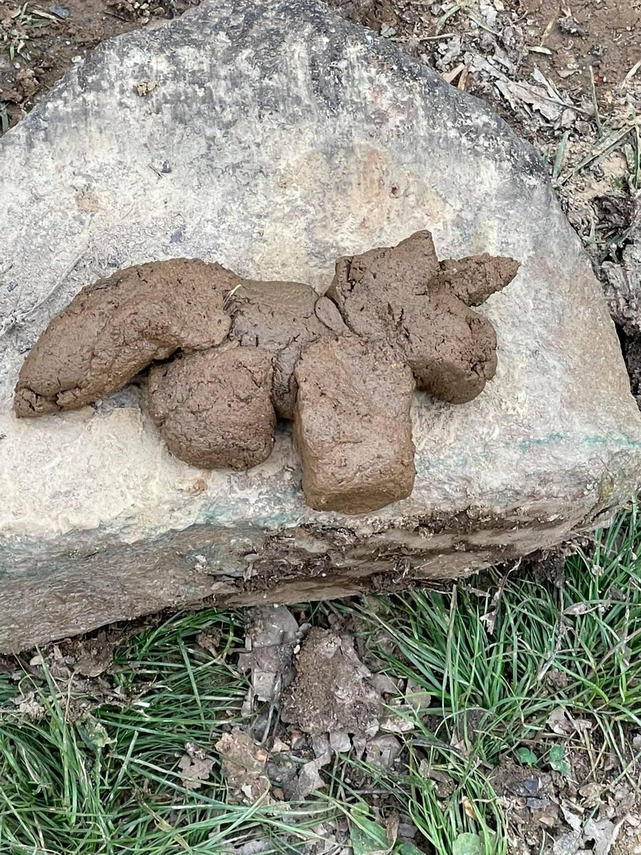 HopeWalker851's tweet photo. Lilly: “ mom please come look at my unicorn that I made with earth slime!”

Me: gets off the lawn mower walks over and I said “oh my god is this dog sh!$?

Lilly: “Mom! I worked so hard on this!

Me: oh honey it’s awesome. But again is this dog sh!$?? #3numd3 #KisiKaBhaiKisiKiJaan #الهلال_الطائي
