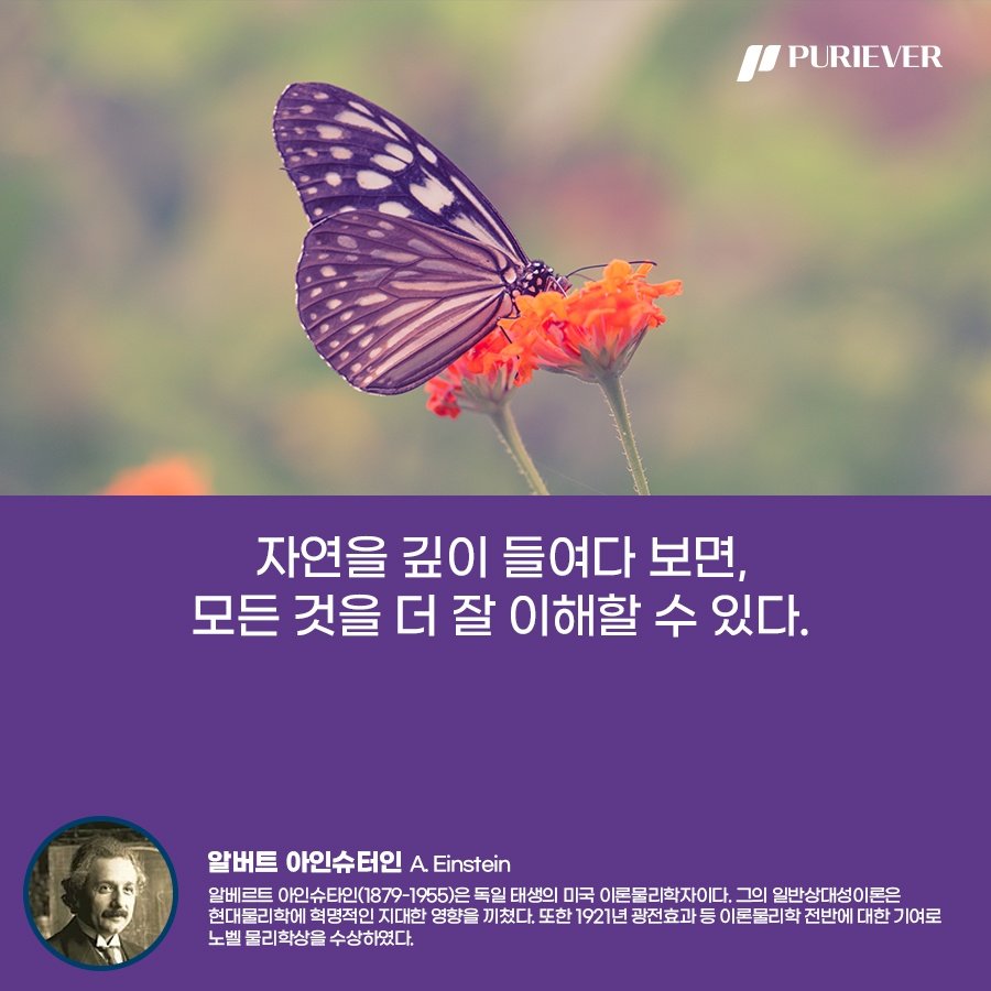 puriever's tweet photo. #퓨리에버 #환경보호

자연을 깊이 들여다 보면, 모든 것을 더 잘 이해할 수 있다. https://t.co/2dLkOXW8HE
