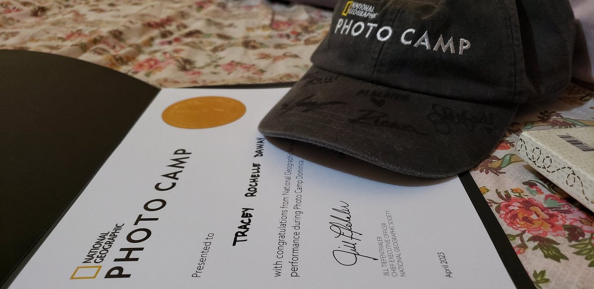 traiiiseee 🇩🇲🏳️‍🌈 tweet media