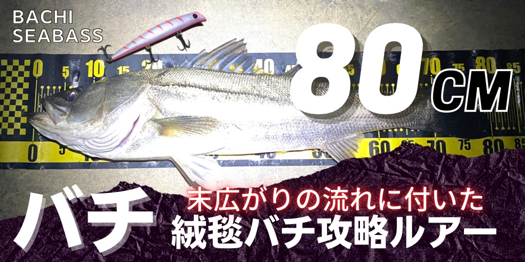 turishiro's tweet photo. 新しい記事をリリース (荒川のバチ抜けランカーシーバスを攻略するには「流れの広がり」を意識しよう) on つりしろ - https://t.co/GHkjQu3BYX https://t.co/ng9m9gSRwW