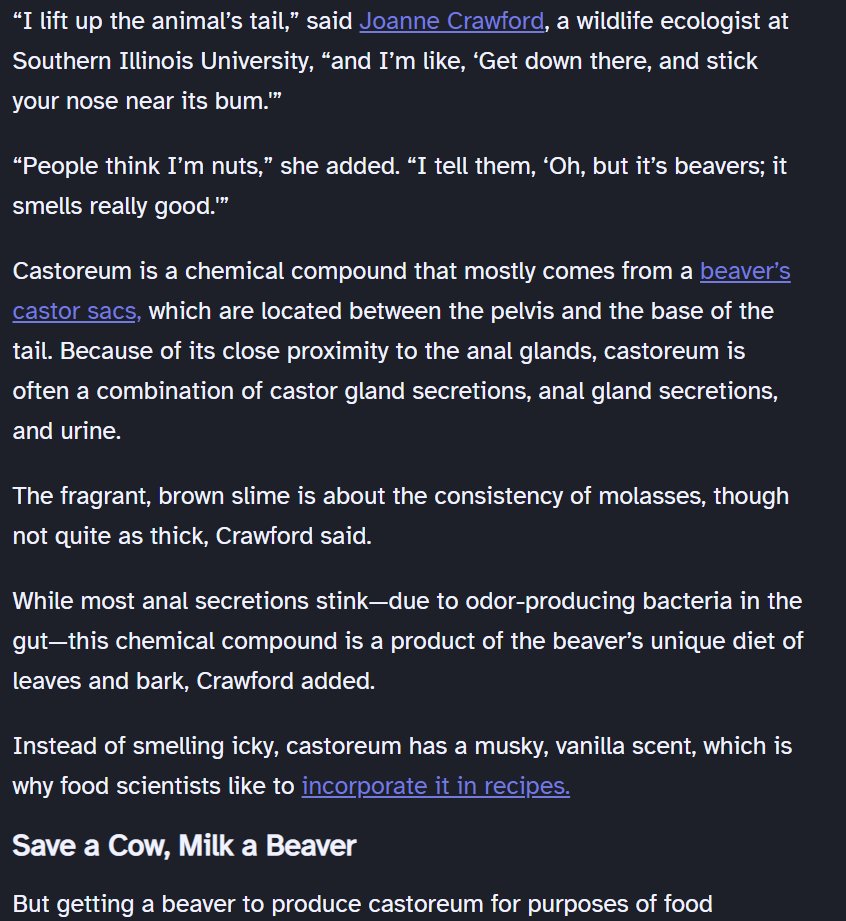 CryptoBlckParty's tweet photo. @ChampRockwell “I lift up the animal’s tail” Joanne Crawford “&amp; I’m like ‘Get down there &amp; stick your nose near its bum.'”

“People think I’m nuts”, “I tell them, ‘Oh, but it’s beavers; it smells really good'”
🦫🍦
https://t.co/EF8X9q7HLX
🪵🍑Ass of 2003 <300lbs #Castoreum Consumed Commercially https://t.co/Y7UOi0gLoW