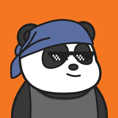 My new panda 🐼 #PFP