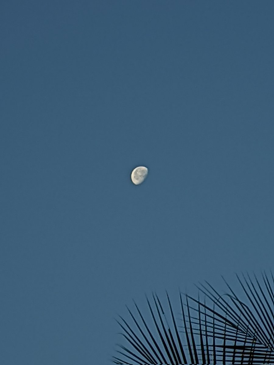 HaiyanTip's tweet image. Morning Moon 🌖 
@ChennaiRains @kalyanasundarsv @ramanathan4548 @MasRainman @bharanivt 
#thanjavur #SamsungA52s