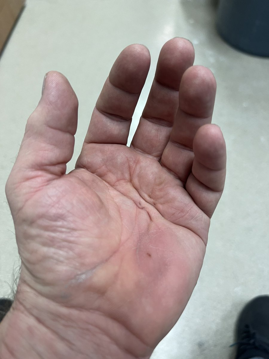 Prop Monkey tweet media