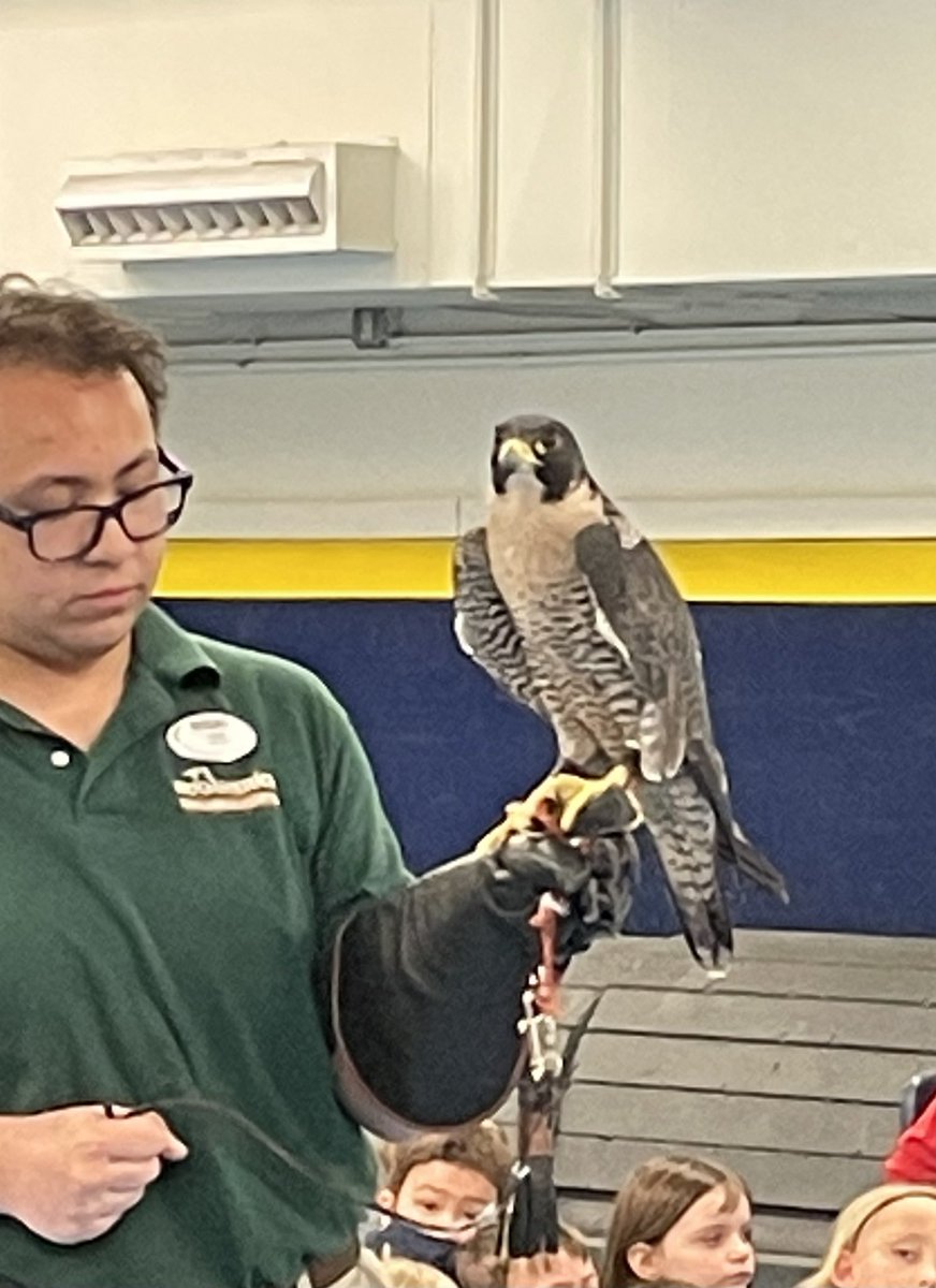 susan_trella's tweet photo. First graders loved meeting new friends today! Ask your child what facts they learned about falcons, snakes, skunks and a mystery animal. Thank you Home and School for making this happen. We appreciate all you do. #SLCSuperstars #HappyToBe https://t.co/a03f9xKcrI