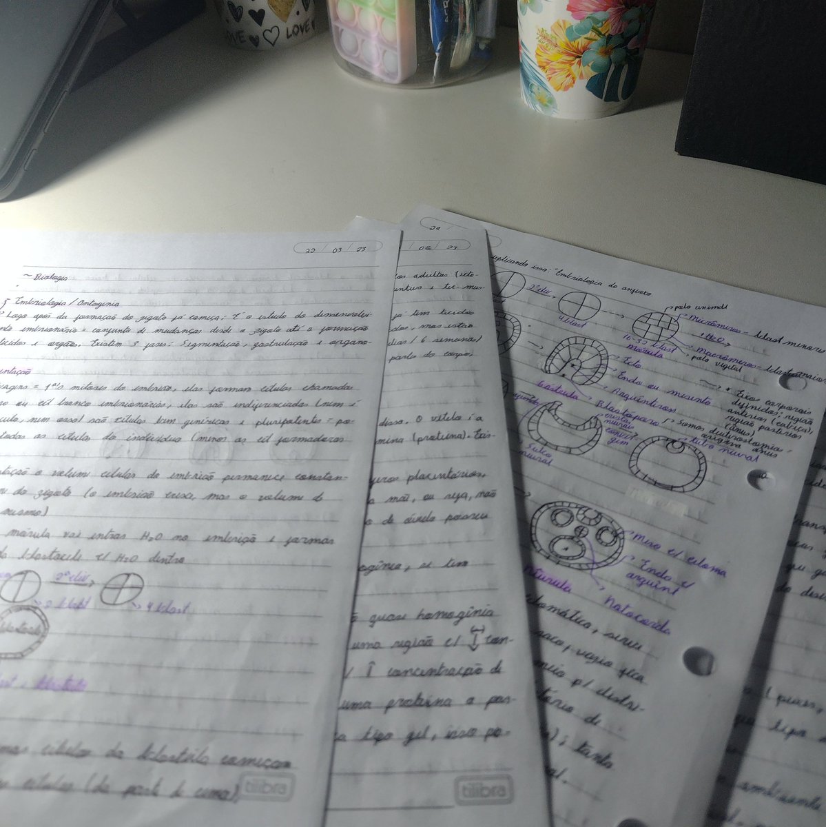 fe__zzz's tweet photo. ° ♡ [studylog]       ~10•04•2023
Tô bem desmotivada com relação aos estudos esses dias, quase desistindo de tentar mais um ano. Não consegui fazer tudo que tinha planejado pra hoje, mas ao menos terminei embriologia :D https://t.co/CmoiFEQBRm