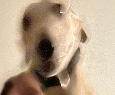 Let me come over and take dumb photos of your animals pls https://t.co/eDZp8kBMxV<a href="/tag/dislyte"class="tags"><span>#dislyte</span></a><a href="/tag/dislytecosplay"class="tags"><span>#dislytecosplay</span></a><a href="/tag/dislytemona"class="tags"><span>#dislytemona</span></a>