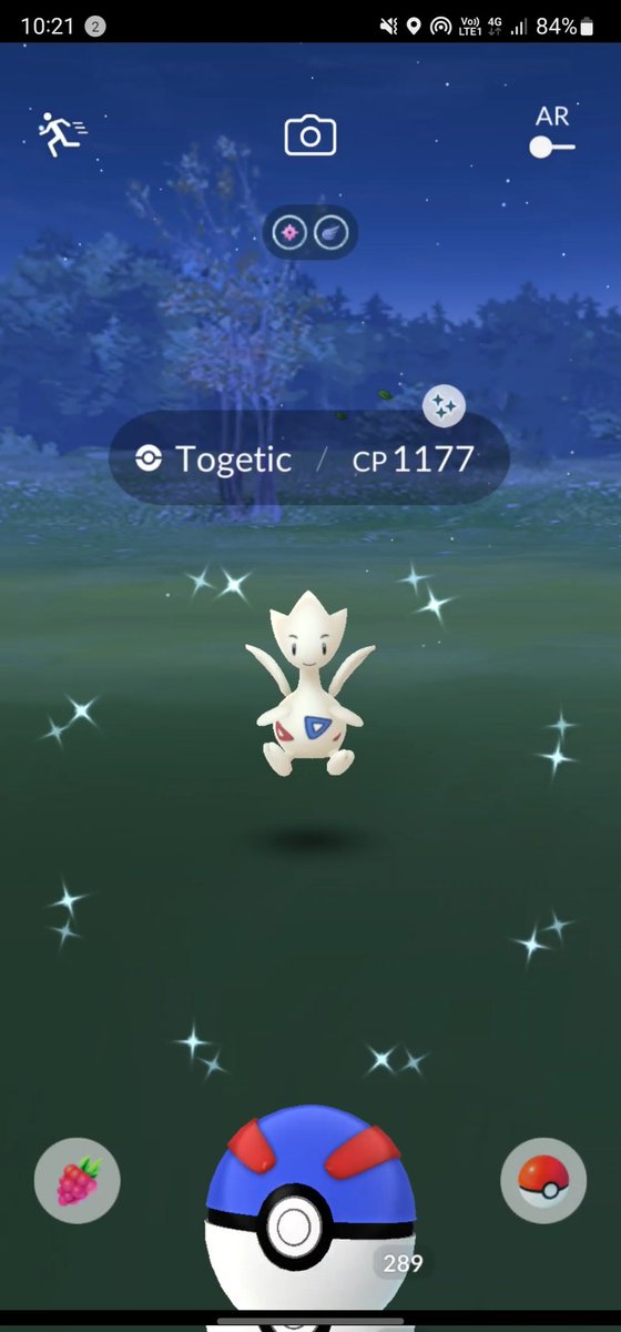 Wow! A wild shiny togetic house spawn!!

Except it's right after the easter event!! No flower crown!! ;(

And togetic has a community day this weekend!!

Waaaaaaaaah!!