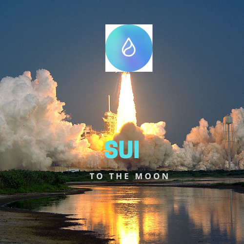 _Humity's tweet photo. @suiswap_app｜#SUI ｜Join Suiswap Crew3 (https://t.co/ciHPpONOzi) to earn XP and Suiswap Points in exchange for airdrop! https://t.co/nrE7kd4T3C