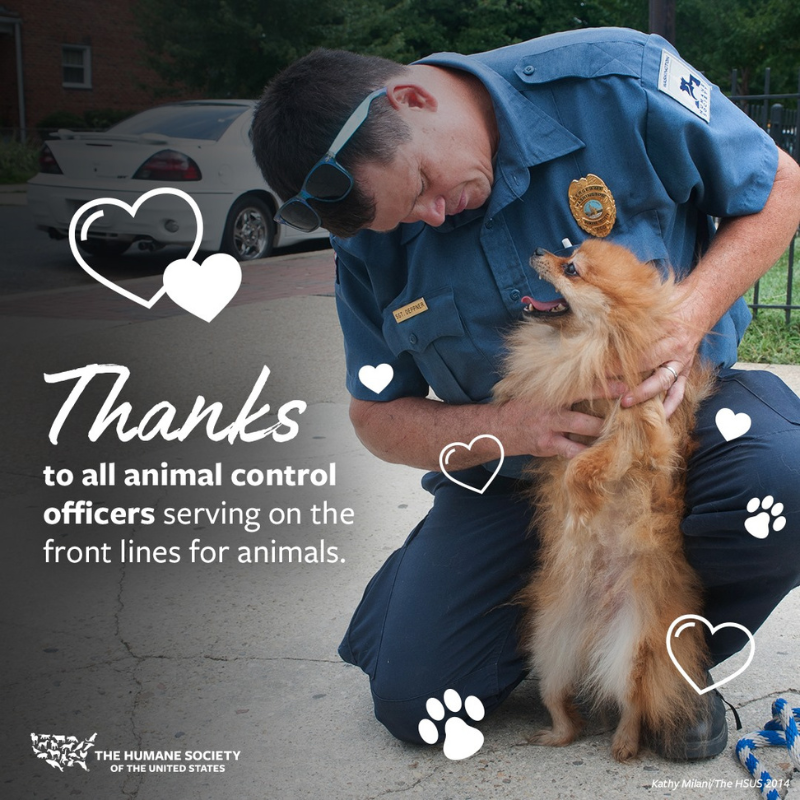SoDakFACT's tweet photo. It’s National Animal Care &amp; Control Appreciation Week! THANK YOU to those who protect &amp; care for animals in our communities ❤️

#NationalAnimalCareAndControlAppreciationWeek
#AnimalControlAppreciationWeek #ACOAppreciationWeek
#SoDakFACT

@HumaneSociety graphic https://t.co/uVeODjxUwm