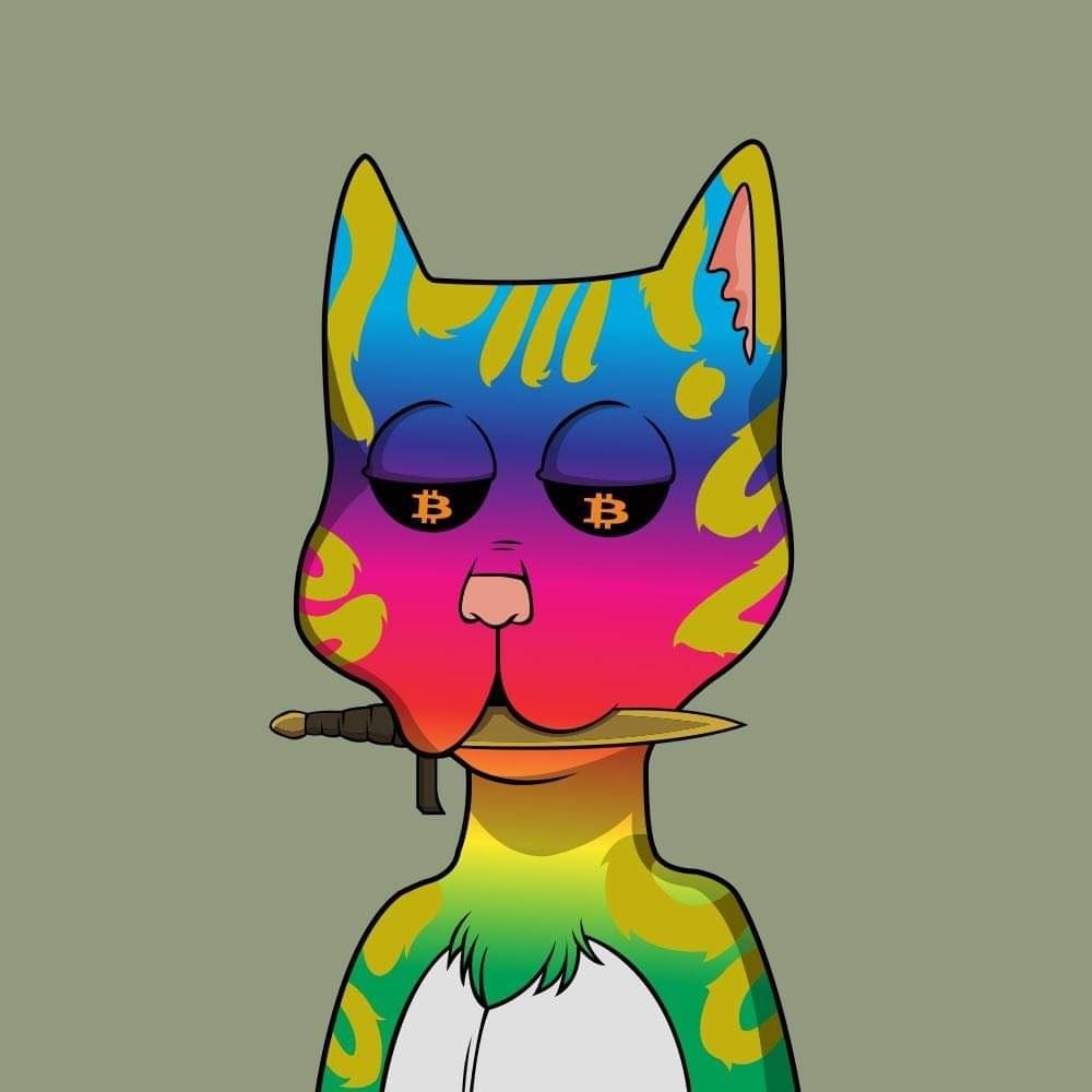 mjaeger79's tweet photo. So excited for the @BossCatRC ordinal release!!  The new cats are 🔥🔥 and very limited supply!  Wallet submission in the discord closes soon!  Don't miss out!! 💪🐈
#BCRC #BTC #BossCats4Life https://t.co/JkzzTjtfvg