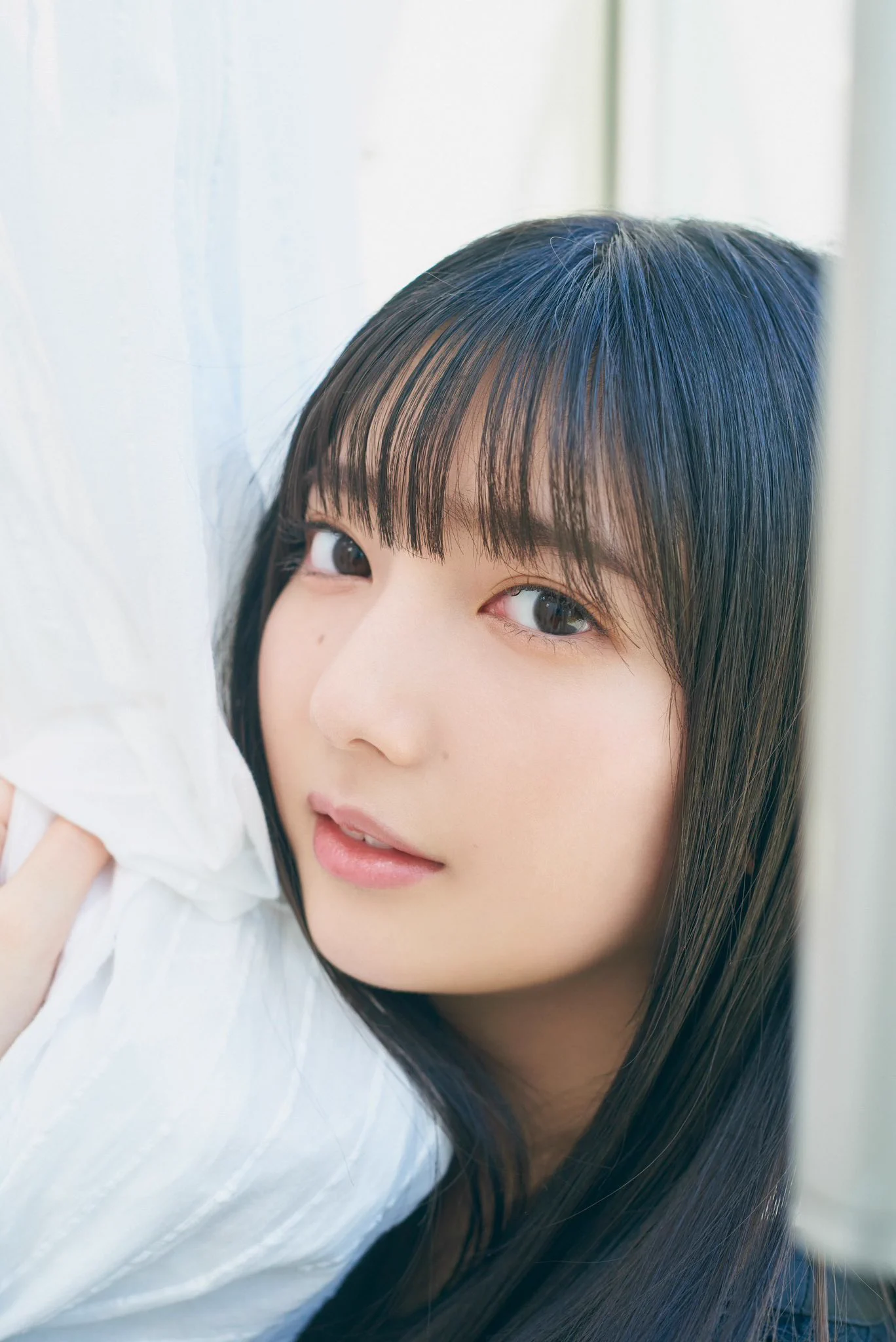 日向坂46 on X: 