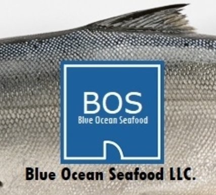 NGTennis2's tweet photo. Thanks to Blue Ocean Seafood in #buford and their many years of support of @NGHSAthletics #tennis! https://t.co/3em0gB6cDQ