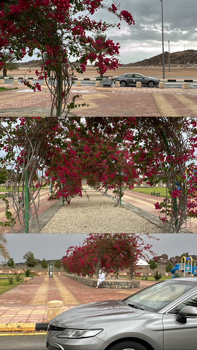 j_jnl's tweet photo. @nuof1m اجواء اليومم🤎🤎🏹. https://t.co/AndARdqiMf