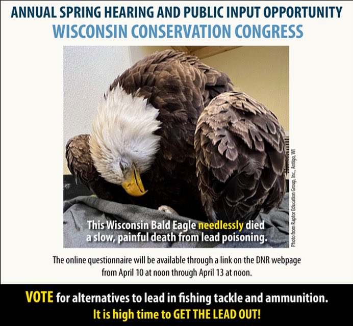 All_Animals_org's tweet photo. Vote this week in the #WisconsinConservationCongress #SpringHearing Online Survey to help WI’s wildlife, environment, and ecosystems!! 🦅🦫🦌🦢🦡🐺🦦🦨🦡🦊 https://t.co/PatlDXuNBu #WCC #Wildlife #WisconsinWildlife #HealthyEcosystems #Coexist #ProtectWildflife #AllAnimals https://t.co/J3RocD6x30